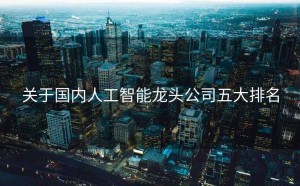 关于国内人工智能龙头公司五大排名