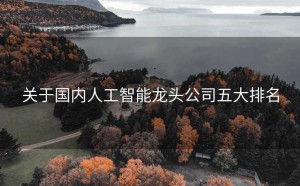关于国内人工智能龙头公司五大排名